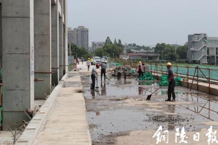 香港蓝月亮资料网